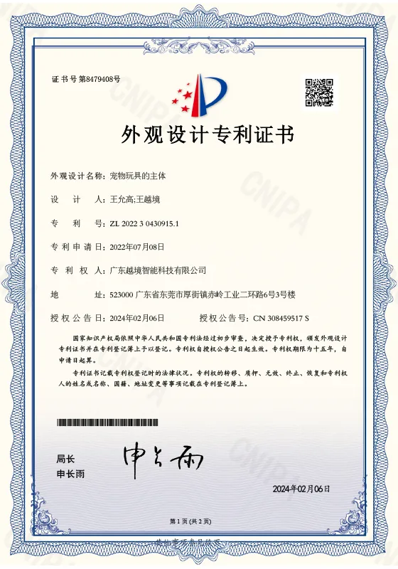 Patent