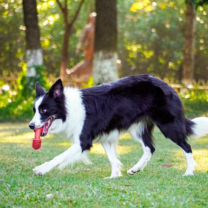 Threaded ring bite resistant dog toy