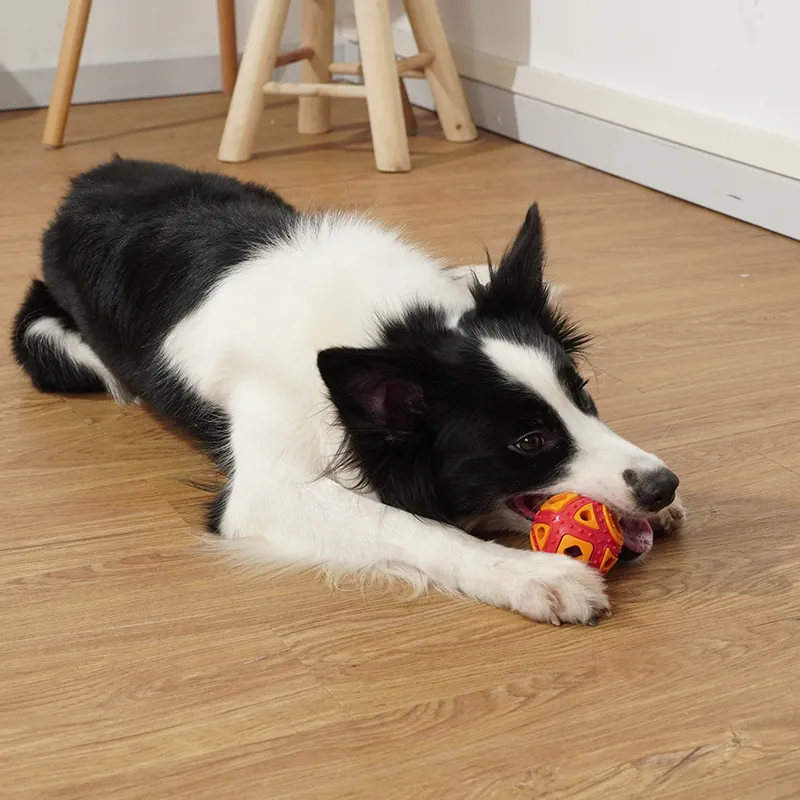 Dog ToysInteractive Movement Training Ball