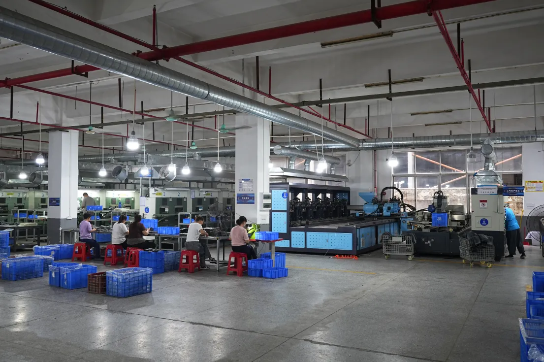 New Year's Day: A Fresh Chapter Begins Pet Economy Warms Hearts as Vking Embarks on New Journey with Loving Companions