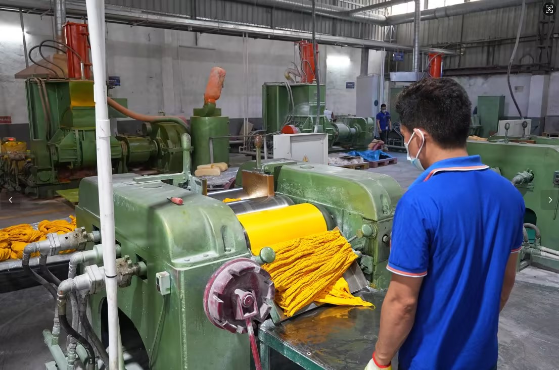 New Year's Day: A Fresh Chapter Begins Pet Economy Warms Hearts as Vking Embarks on New Journey with Loving Companions